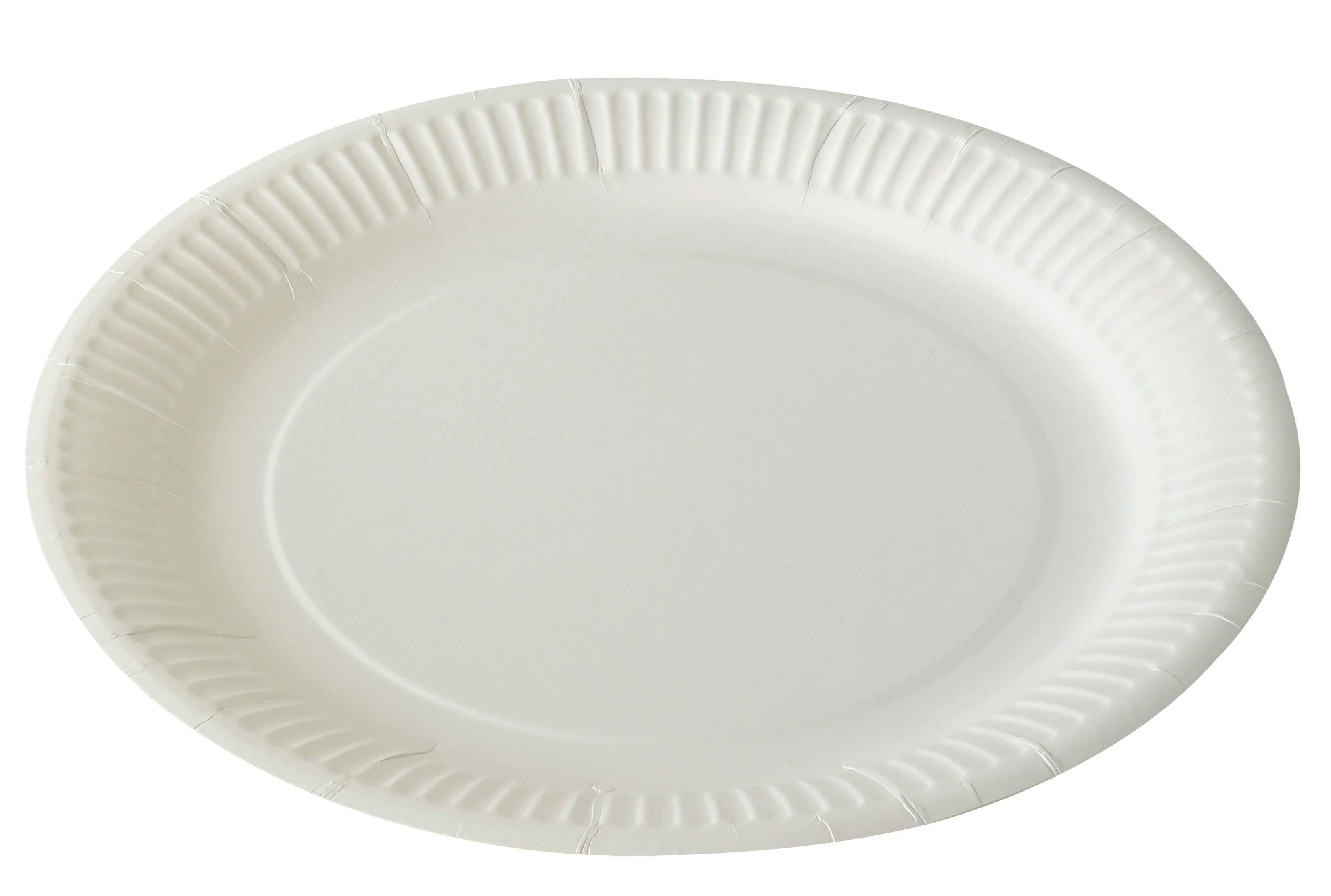 9'' inch 23cm Disposable Paper Plates Used for Catering and Food Takeaway