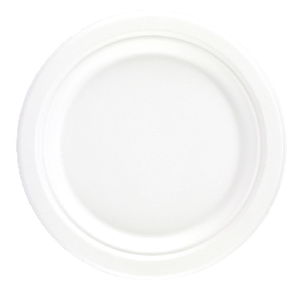 10" (26cm) Bagasse Compostable Plates - Gafbros