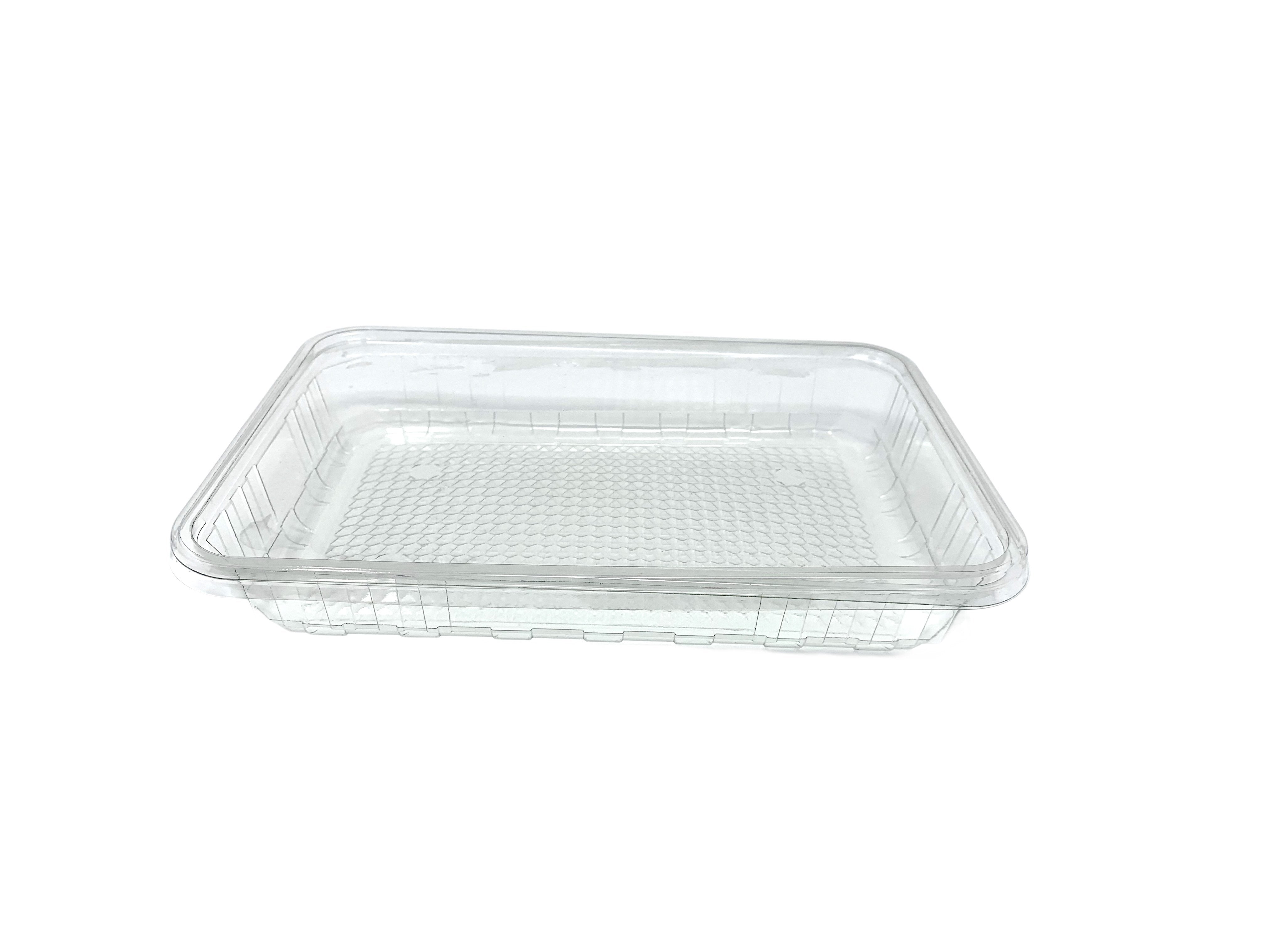 270x180x40 Bakery Container Bases & Lids - Gafbros