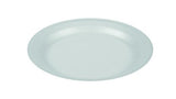 9-Inch-Foam-Paper-Plates